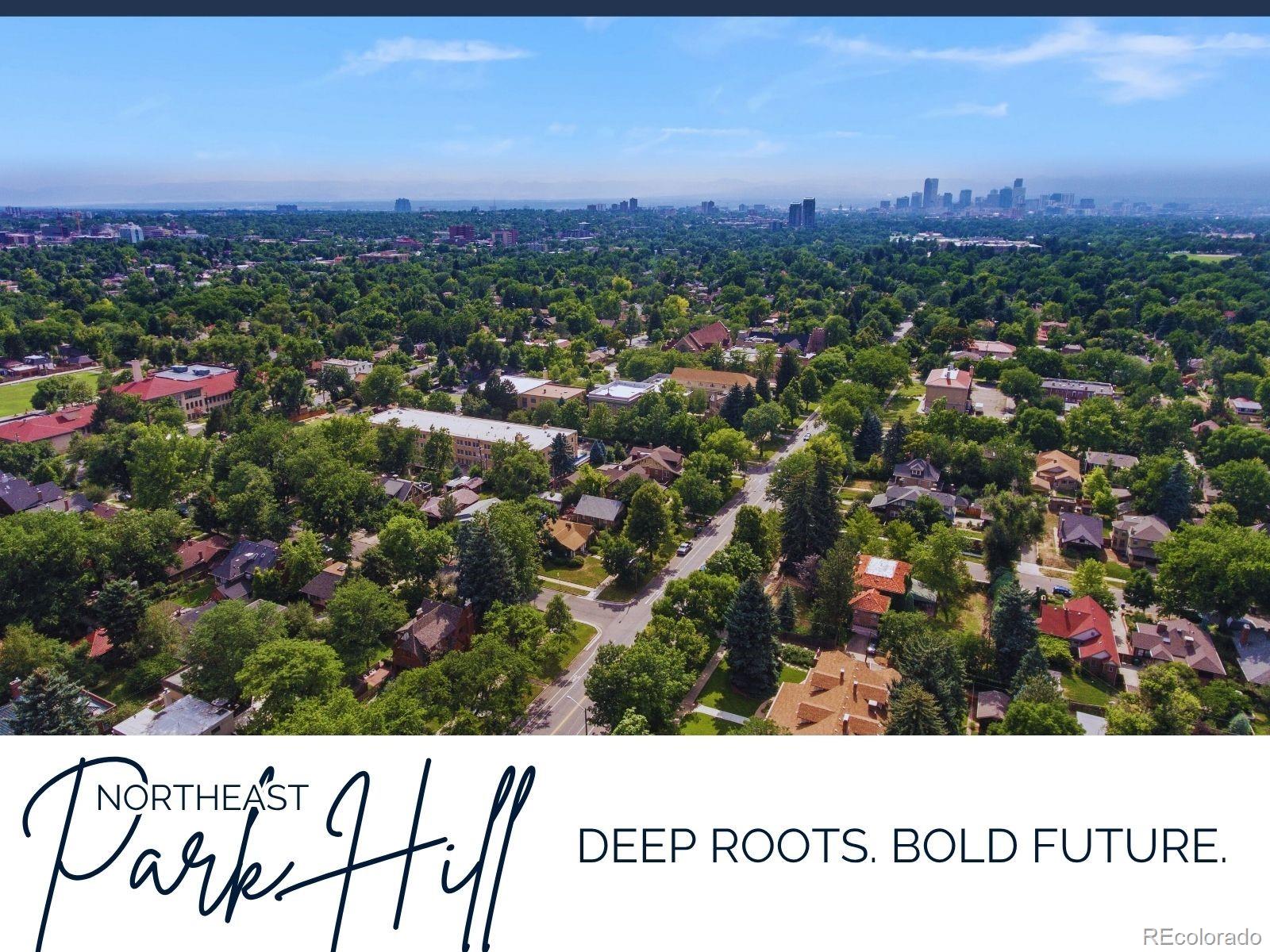 MLS Image #11 for 3580  krameria street,denver, Colorado