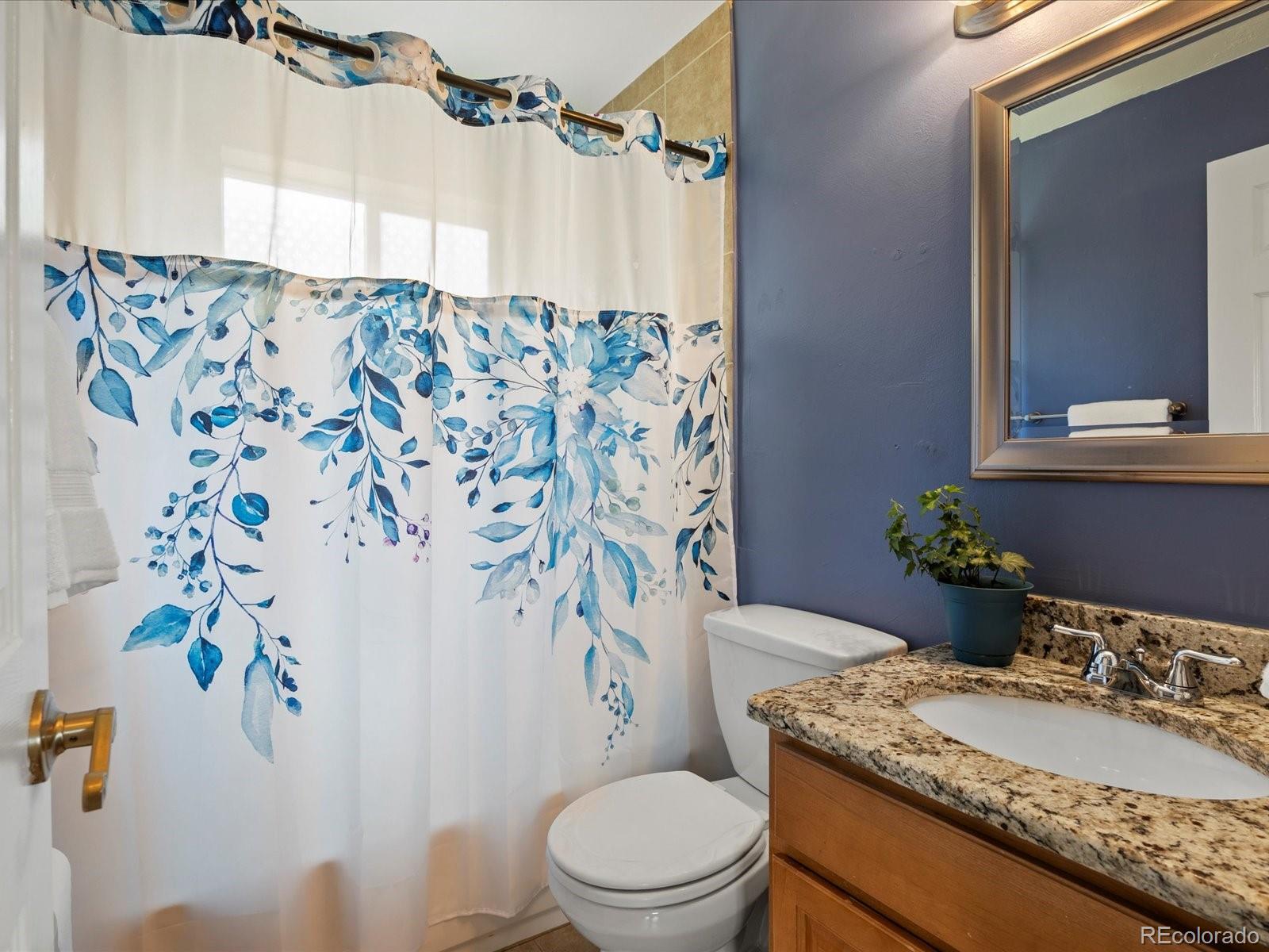 MLS Image #14 for 3580  krameria street,denver, Colorado