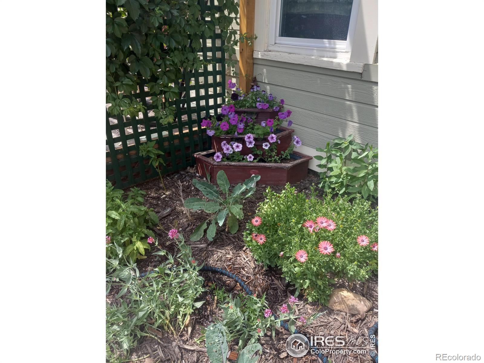 MLS Image #19 for 3730  garfield avenue,wellington, Colorado