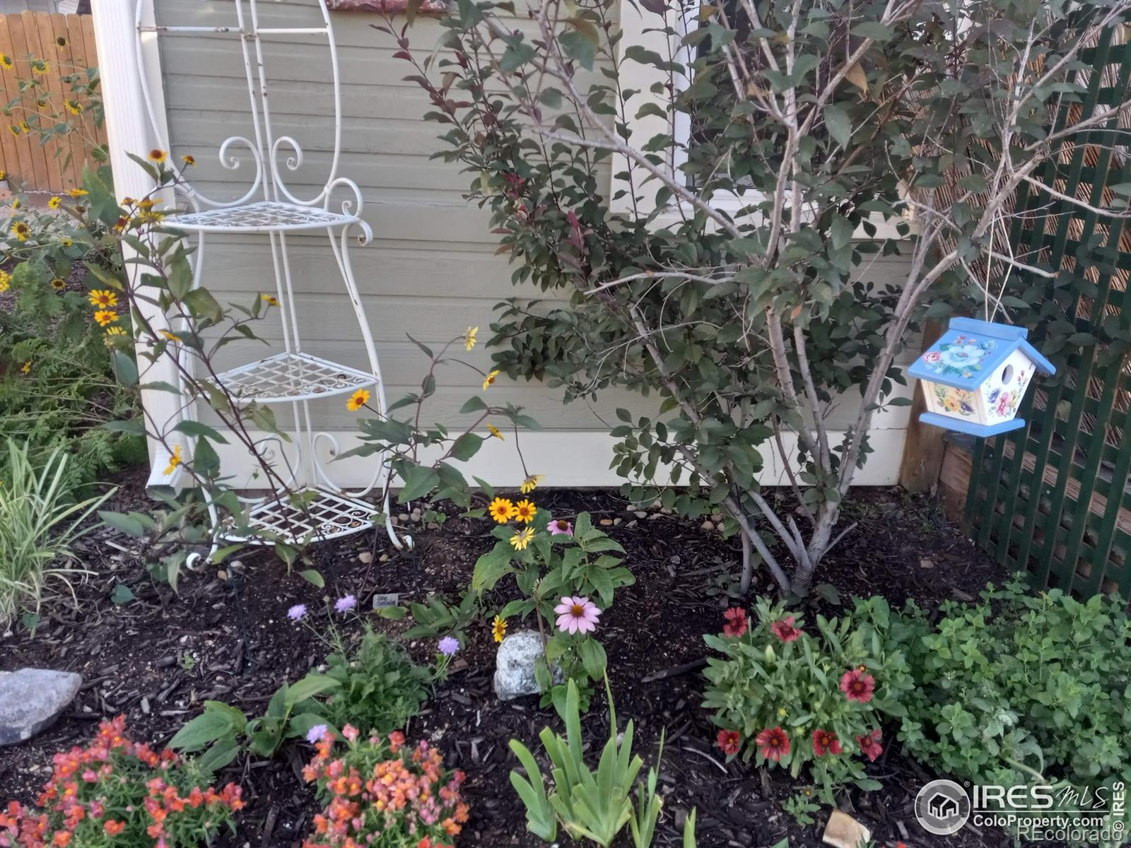 MLS Image #22 for 3730  garfield avenue,wellington, Colorado