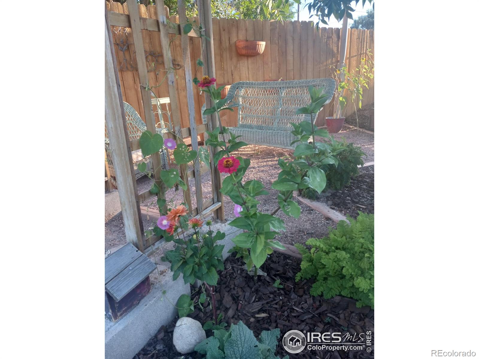 MLS Image #25 for 3730  garfield avenue,wellington, Colorado