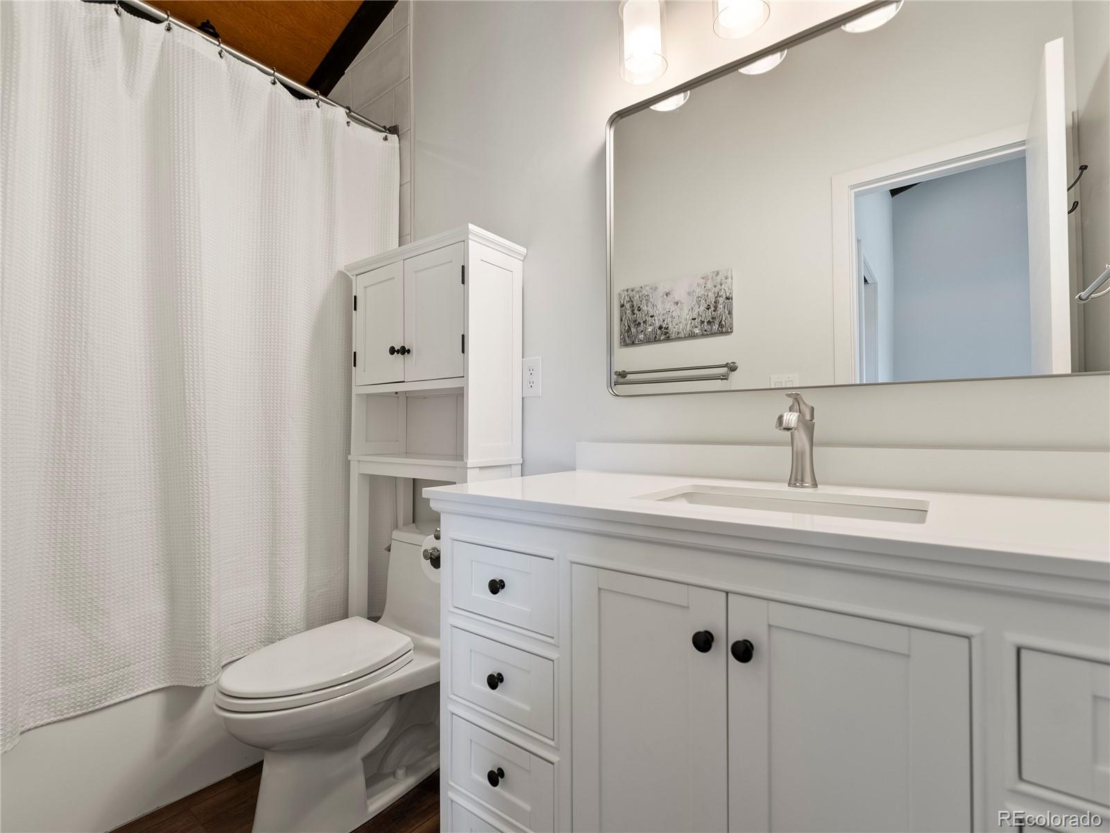 MLS Image #7 for 8012  ryan gulch road,silverthorne, Colorado