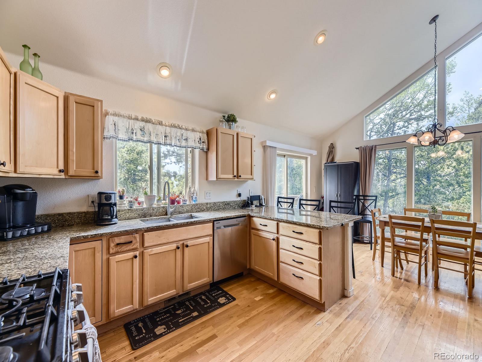 MLS Image #10 for 11526  green circle,conifer, Colorado