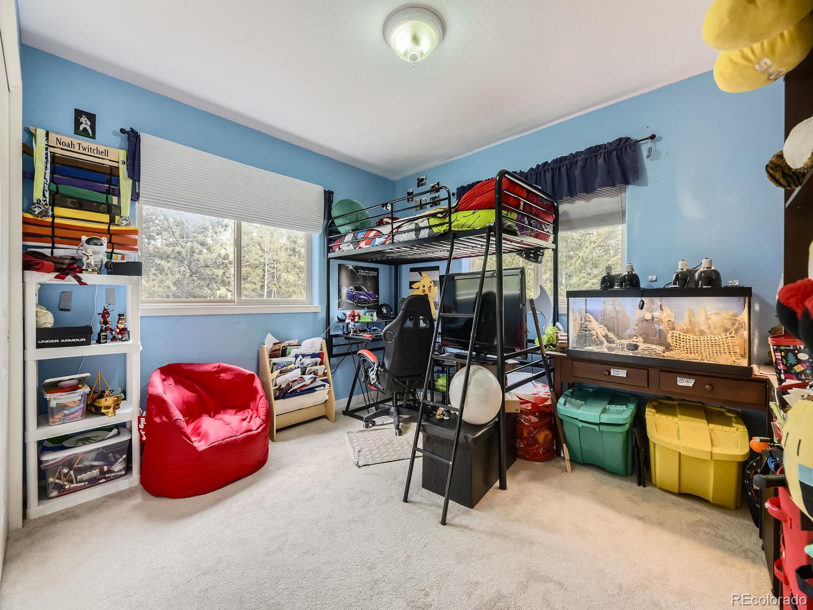 MLS Image #15 for 11526  green circle,conifer, Colorado