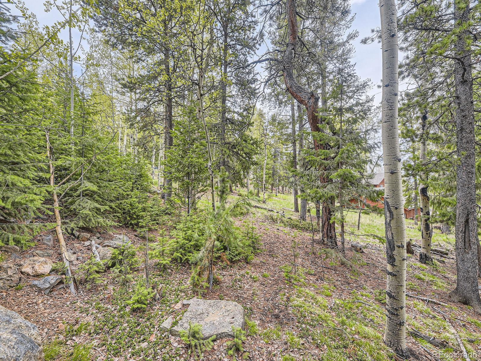 MLS Image #23 for 11526  green circle,conifer, Colorado