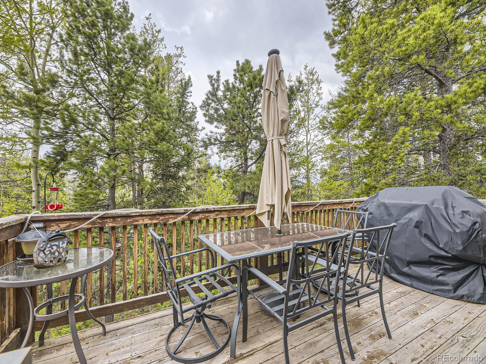 MLS Image #24 for 11526  green circle,conifer, Colorado