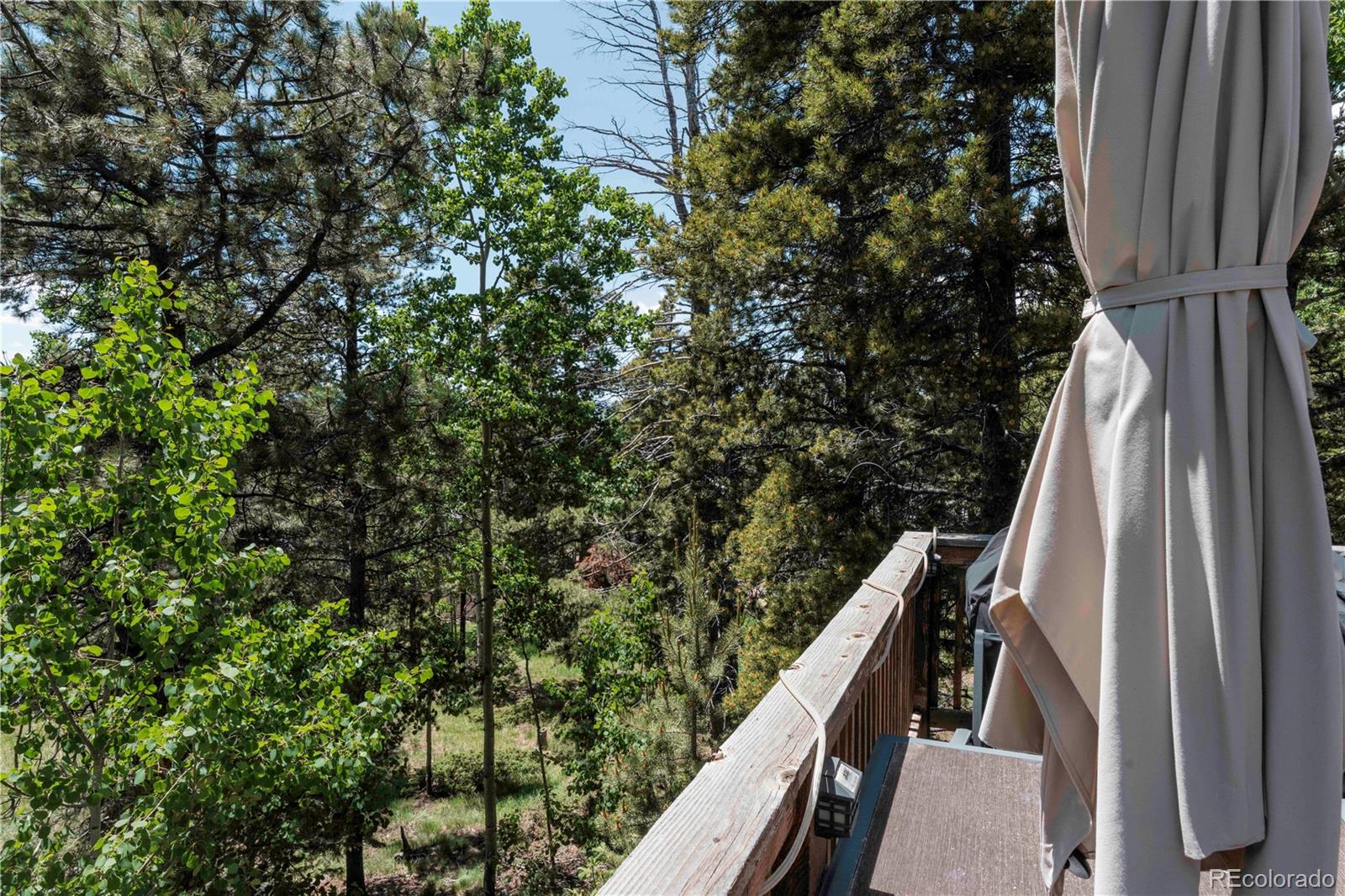 MLS Image #25 for 11526  green circle,conifer, Colorado
