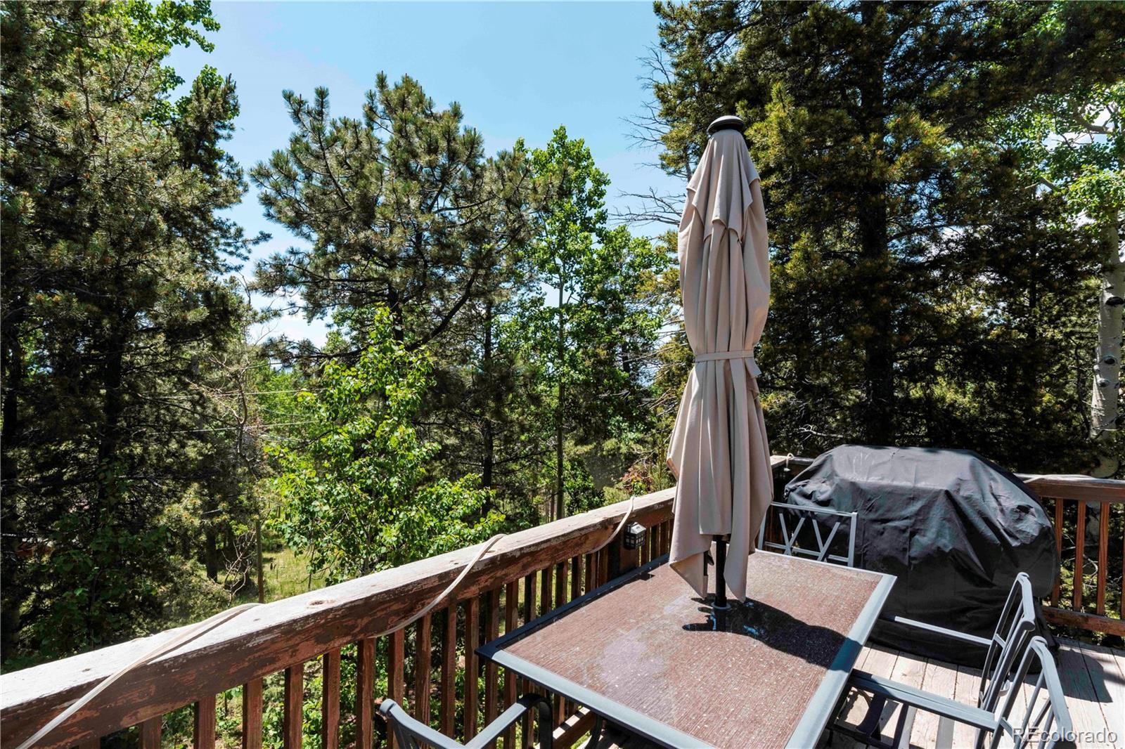 MLS Image #26 for 11526  green circle,conifer, Colorado