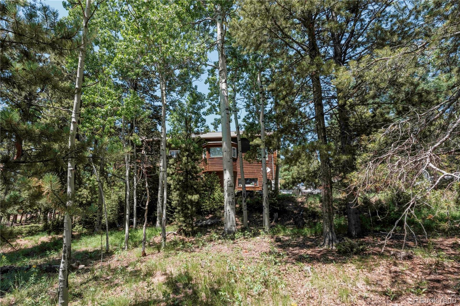 MLS Image #29 for 11526  green circle,conifer, Colorado