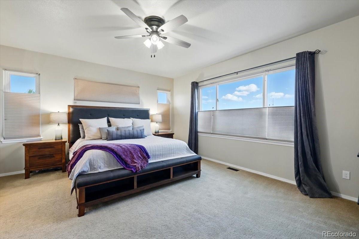 MLS Image #12 for 15506  short line court,monument, Colorado