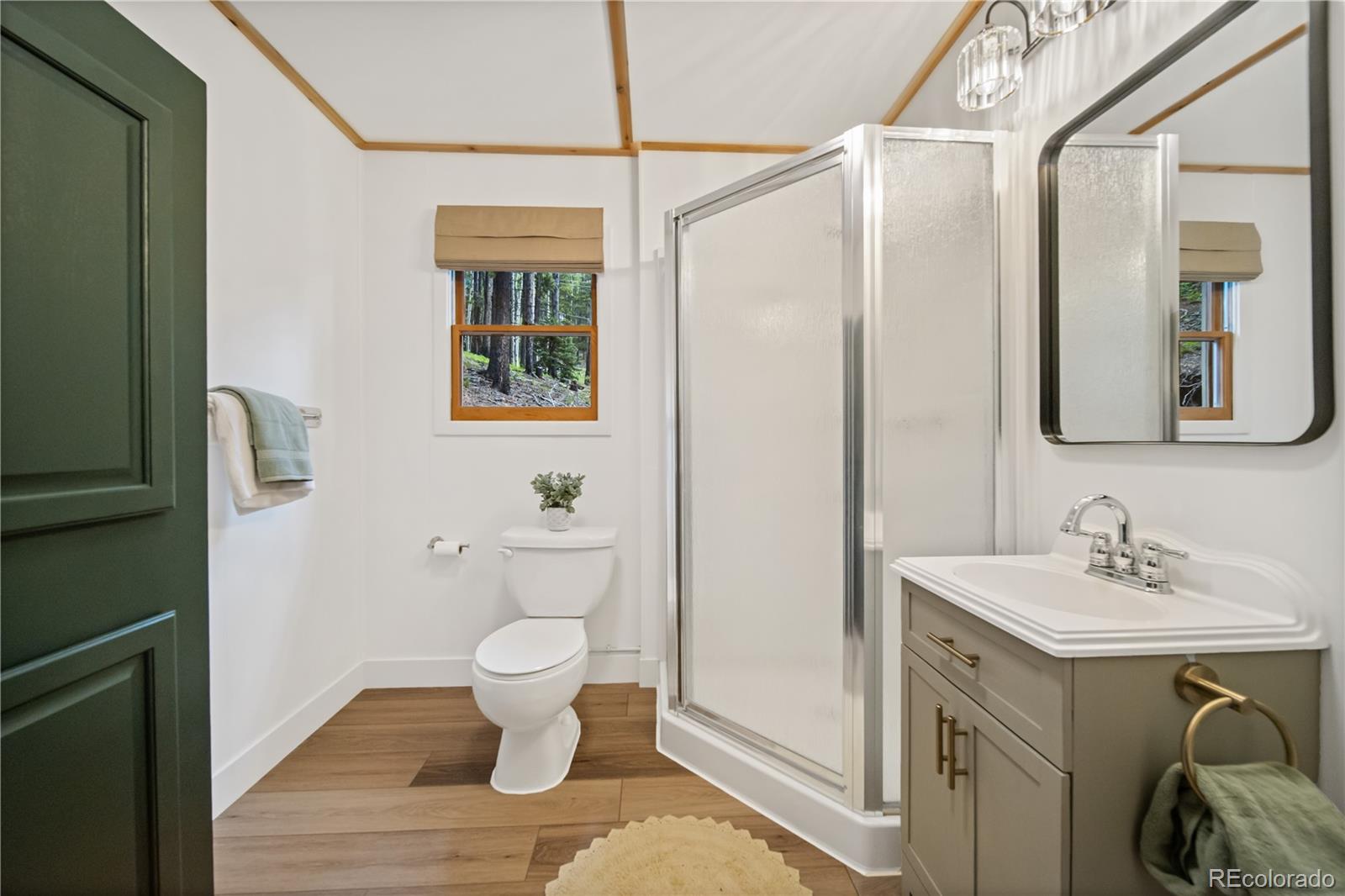 MLS Image #11 for 154  apache road,evergreen, Colorado