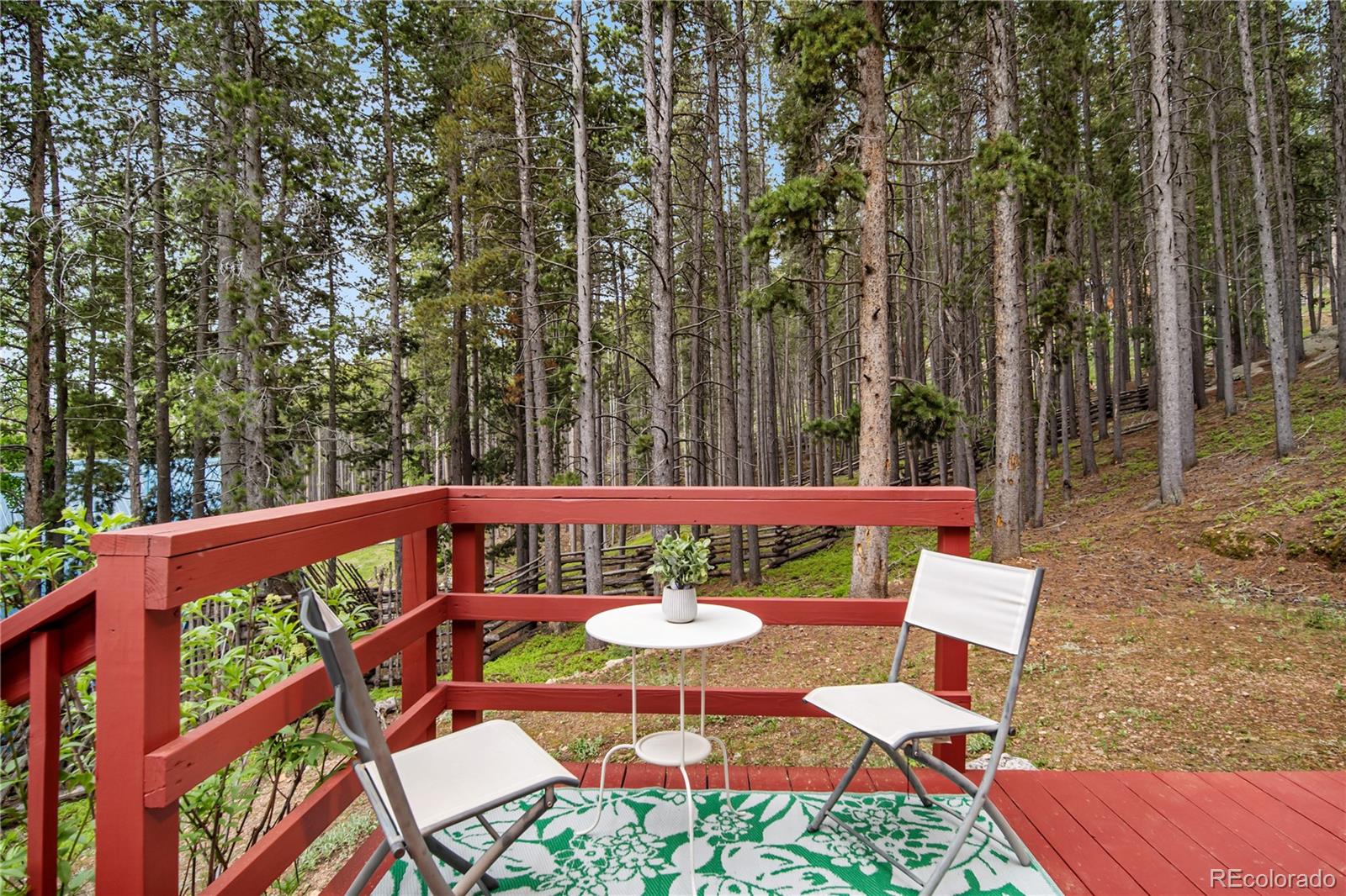 MLS Image #14 for 154  apache road,evergreen, Colorado