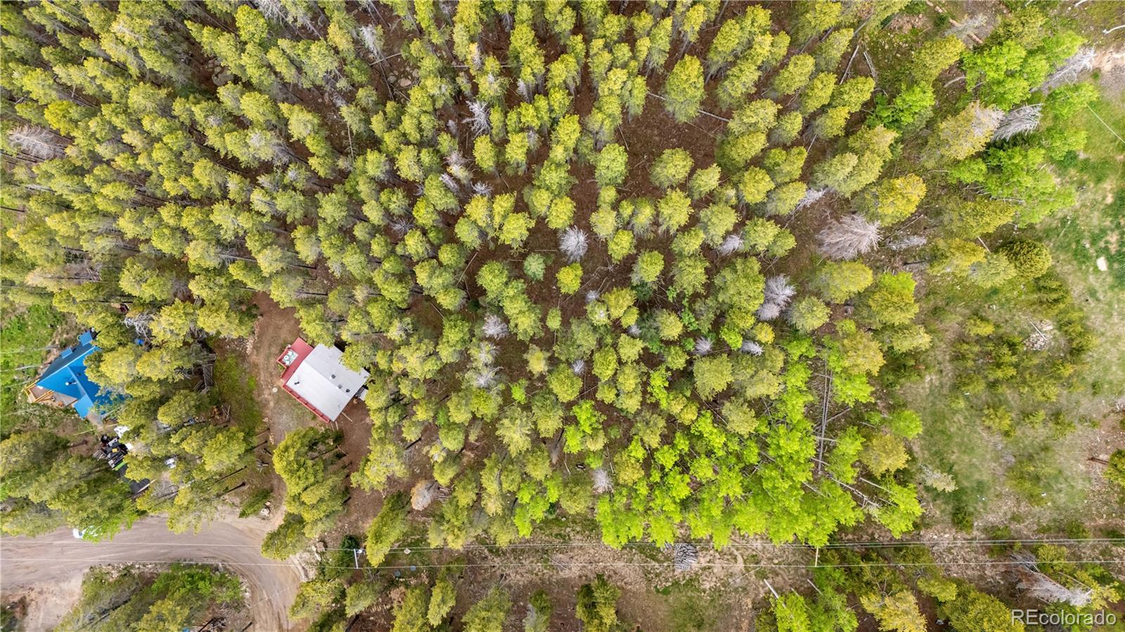 MLS Image #17 for 154  apache road,evergreen, Colorado