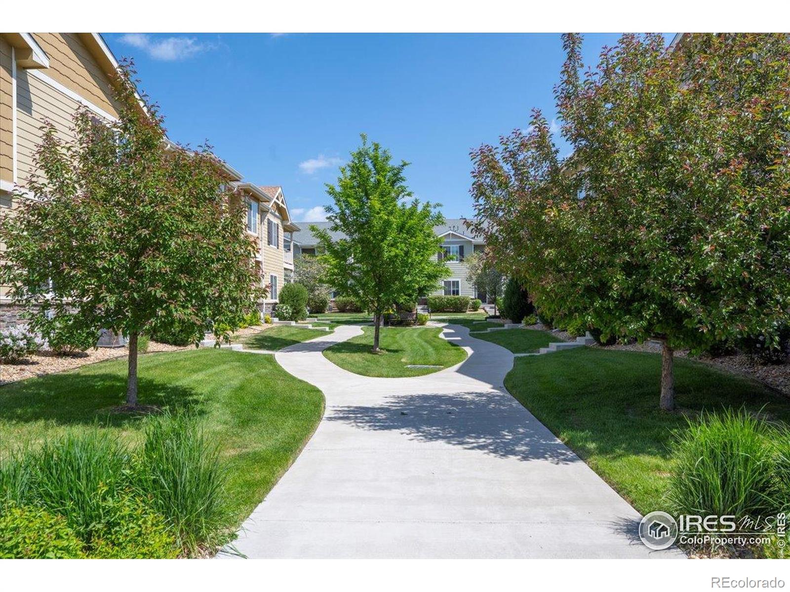 MLS Image #22 for 1426  sepia avenue,longmont, Colorado