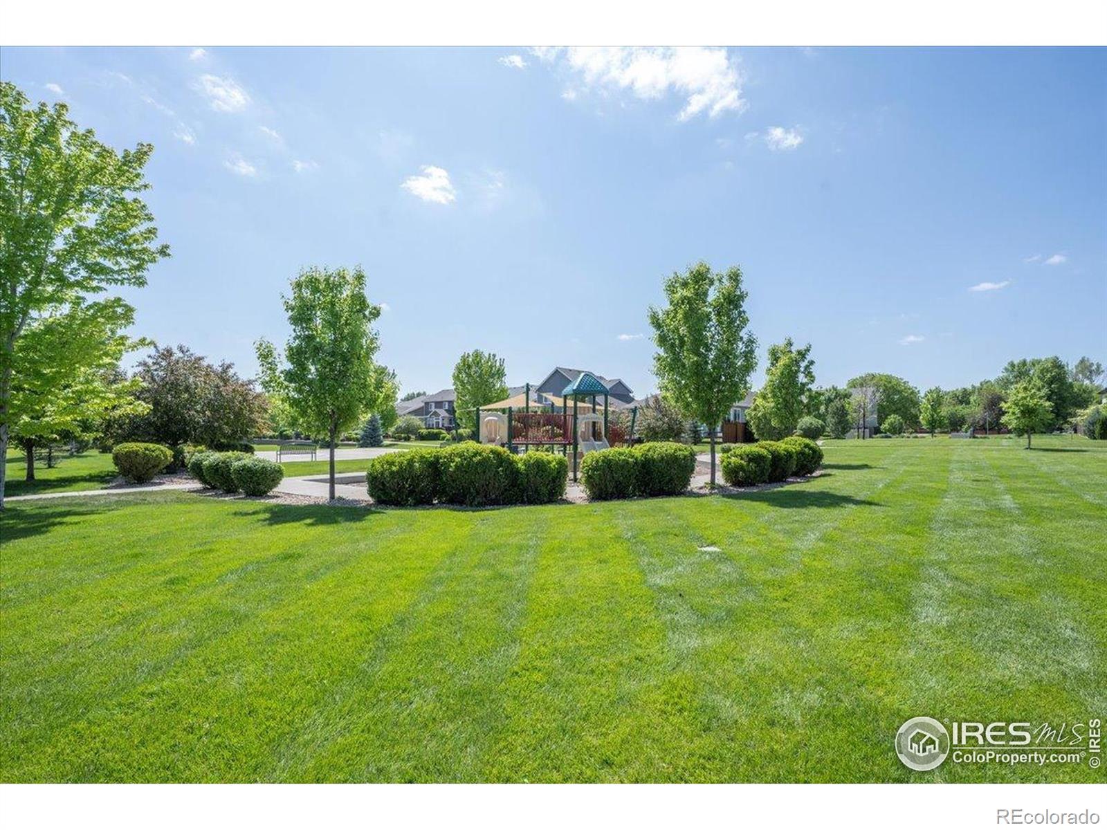 MLS Image #23 for 1426  sepia avenue,longmont, Colorado