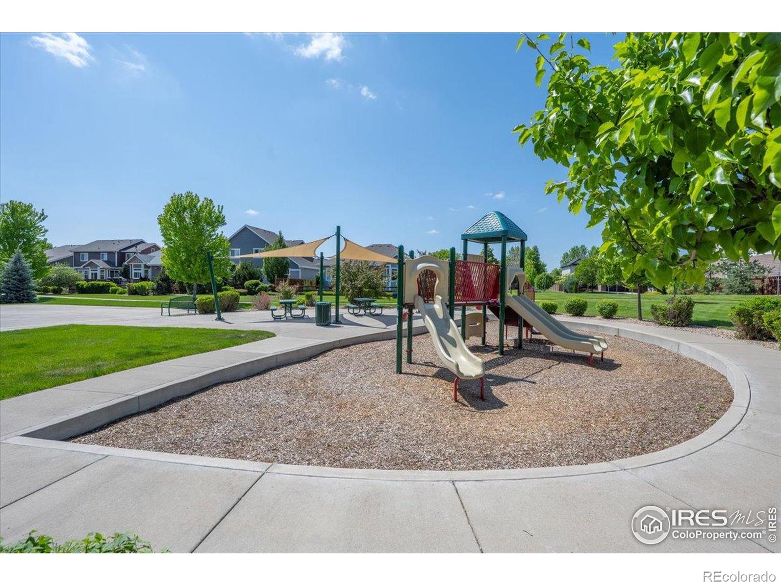 MLS Image #24 for 1426  sepia avenue,longmont, Colorado