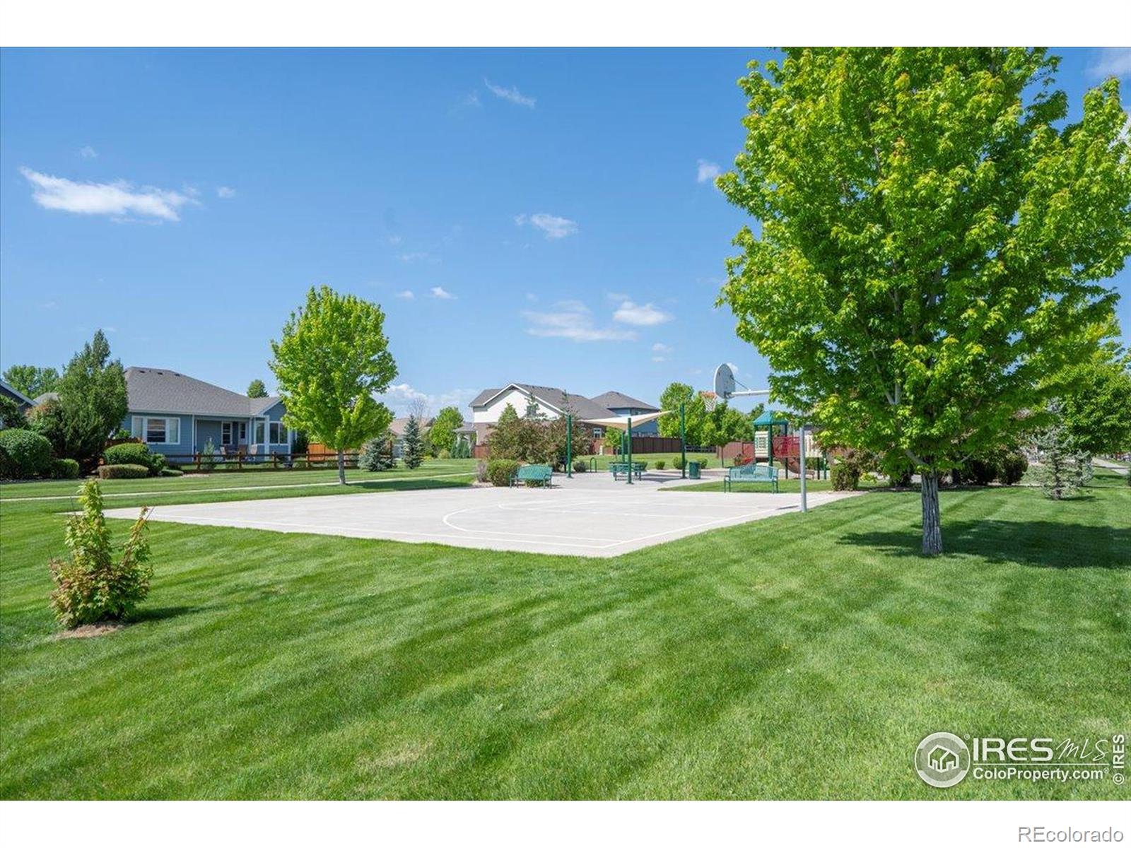 MLS Image #25 for 1426  sepia avenue,longmont, Colorado