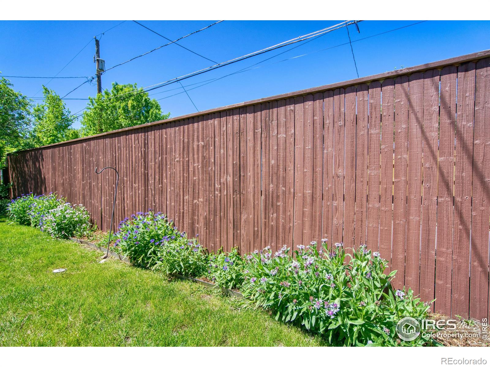 MLS Image #30 for 729  elm street,denver, Colorado