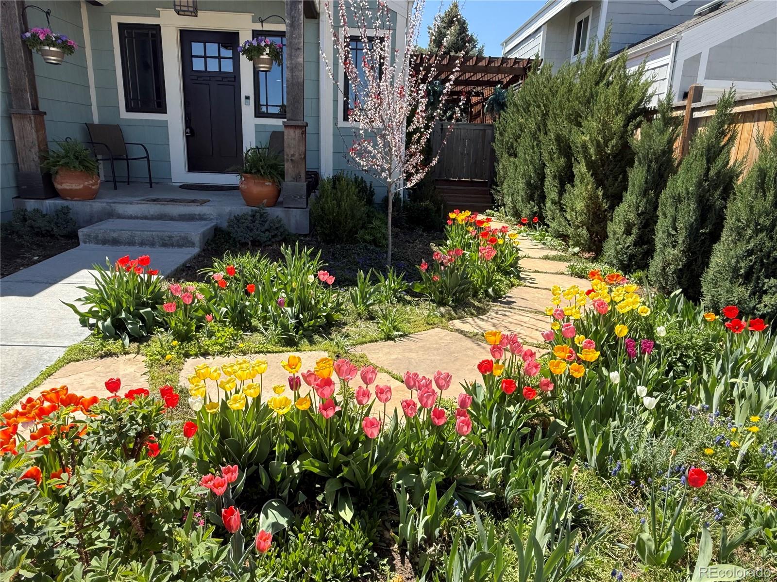 MLS Image #2 for 10624 w berry place,littleton, Colorado