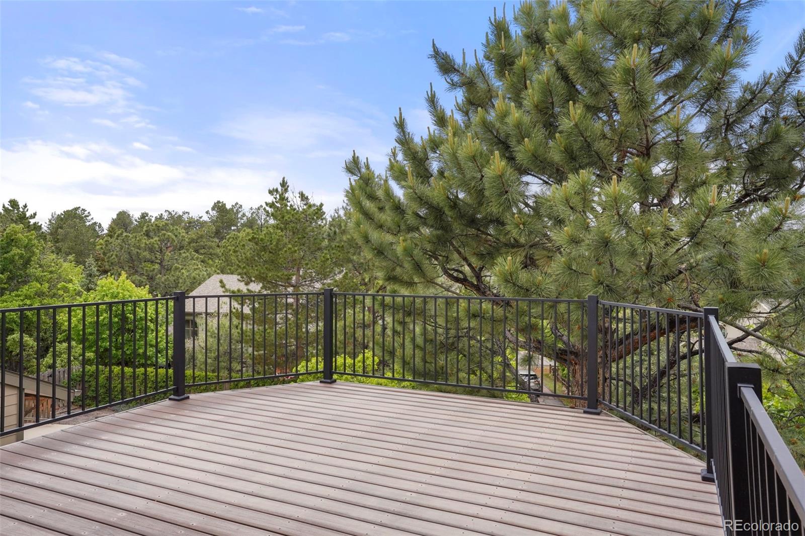 MLS Image #20 for 5812  irish pat murphy drive,parker, Colorado