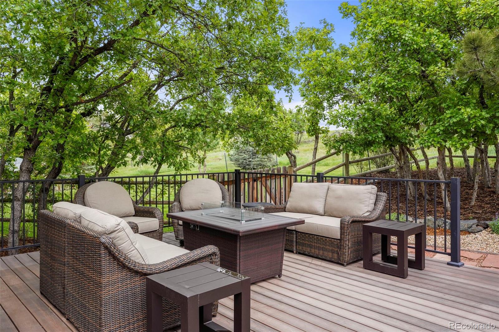 MLS Image #38 for 5812  irish pat murphy drive,parker, Colorado