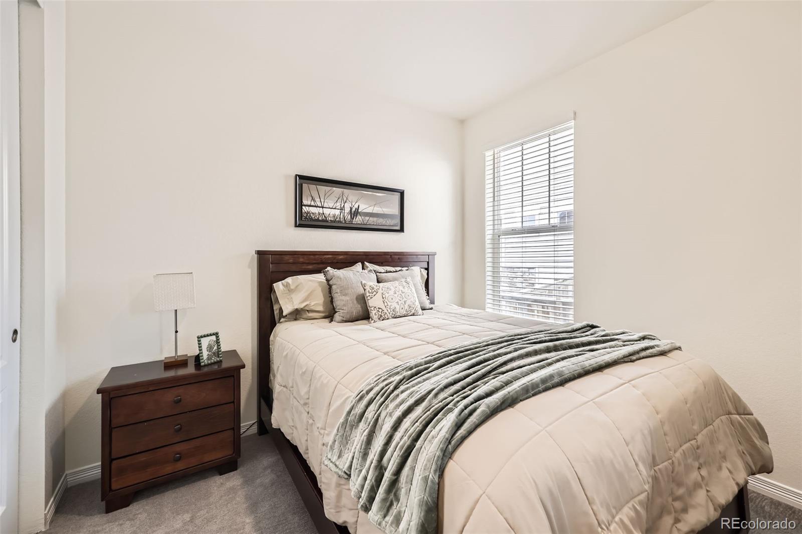 MLS Image #17 for 515  176th avenue,broomfield, Colorado