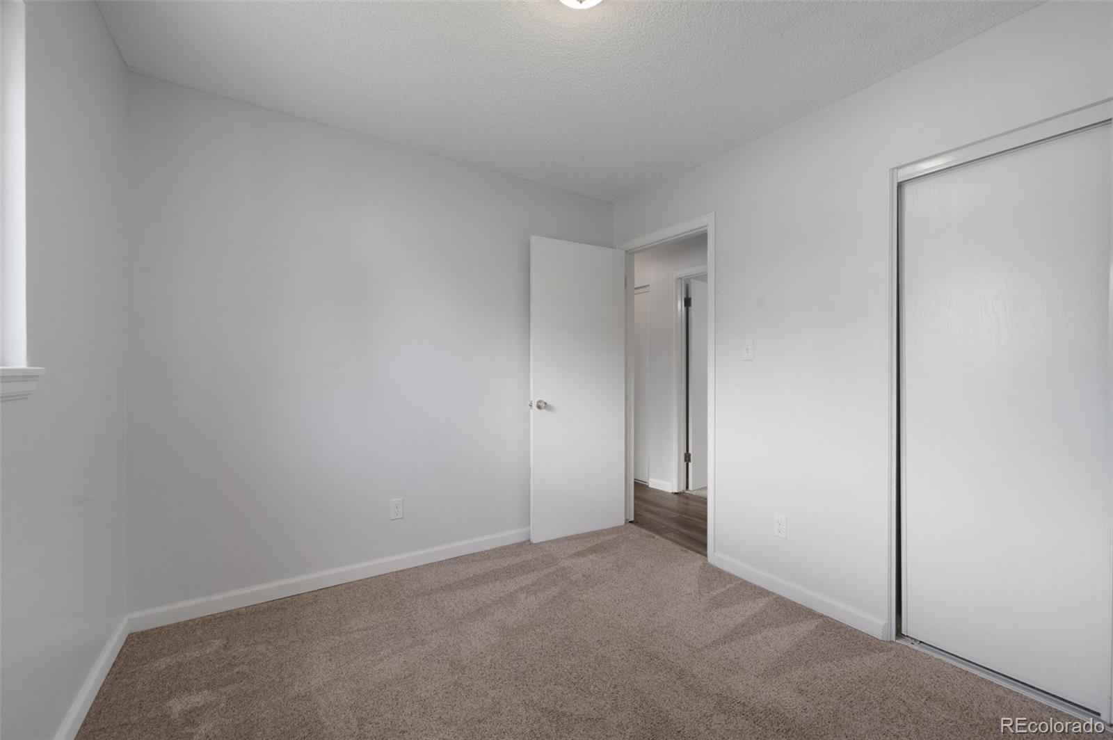 MLS Image #21 for 4446  frost drive,colorado springs, Colorado