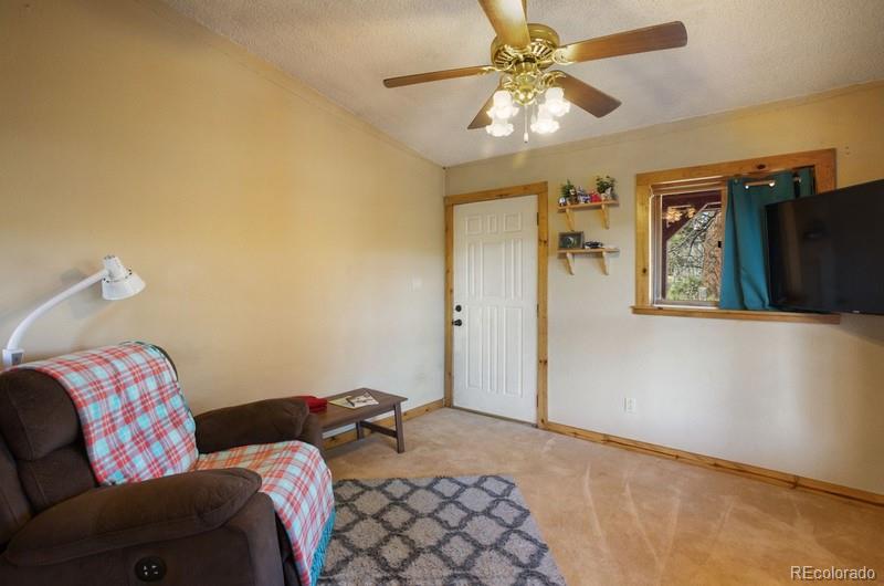 MLS Image #10 for 79  beaver creek circle ,florissant, Colorado
