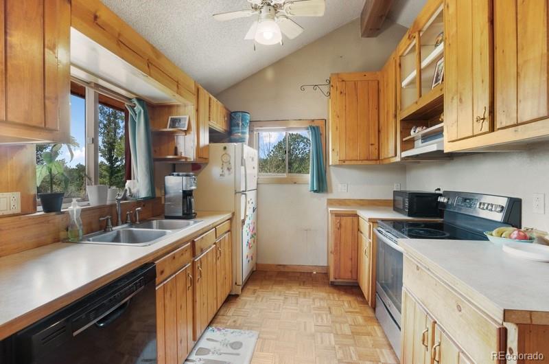 MLS Image #12 for 79  beaver creek circle ,florissant, Colorado