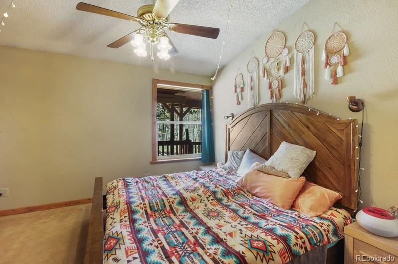 MLS Image #14 for 79  beaver creek circle ,florissant, Colorado