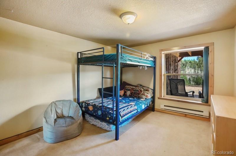 MLS Image #18 for 79  beaver creek circle ,florissant, Colorado