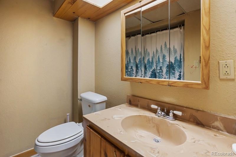 MLS Image #23 for 79  beaver creek circle ,florissant, Colorado