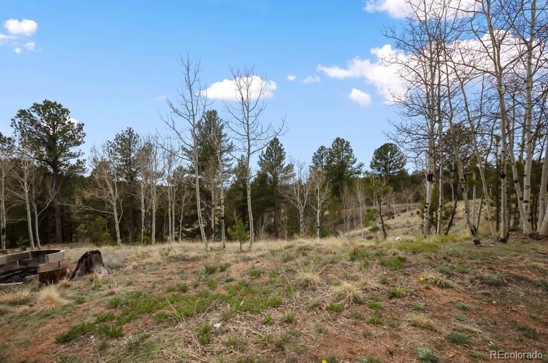 MLS Image #25 for 79  beaver creek circle ,florissant, Colorado