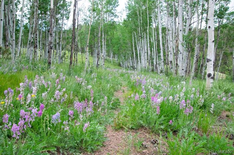 MLS Image #28 for 79  beaver creek circle ,florissant, Colorado