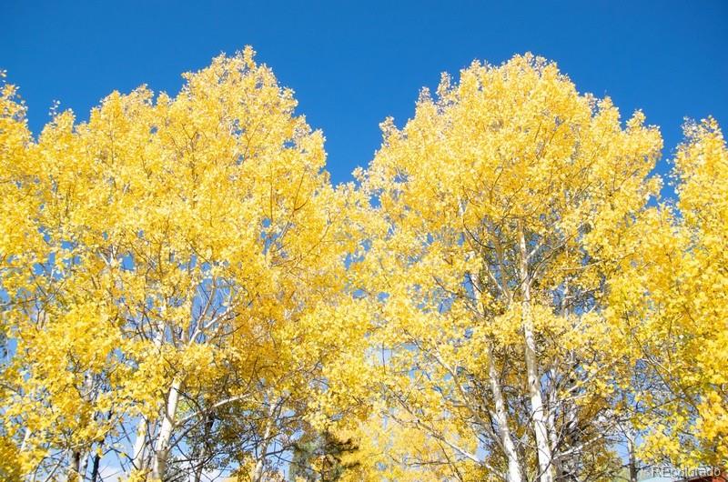 MLS Image #30 for 79  beaver creek circle ,florissant, Colorado