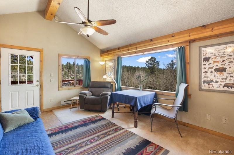 MLS Image #5 for 79  beaver creek circle ,florissant, Colorado