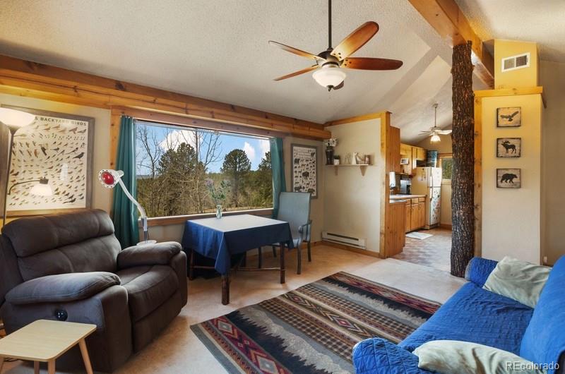 MLS Image #8 for 79  beaver creek circle ,florissant, Colorado