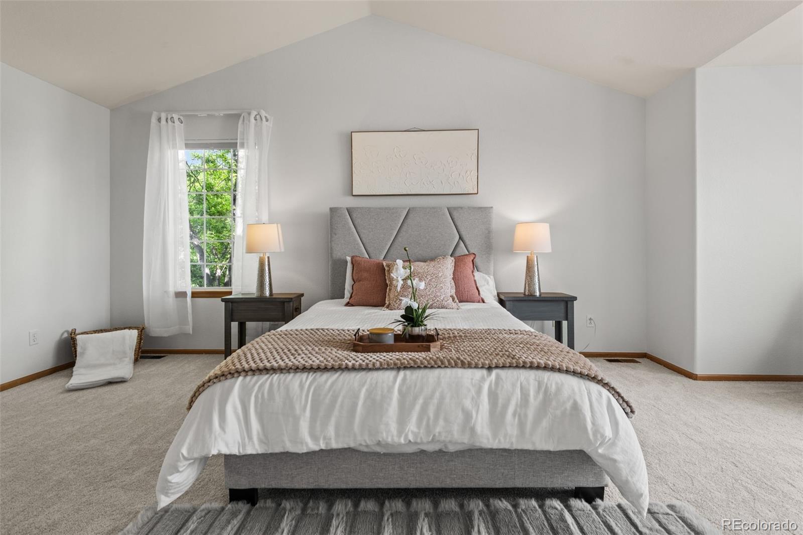 MLS Image #17 for 10284  royal eagle street,highlands ranch, Colorado