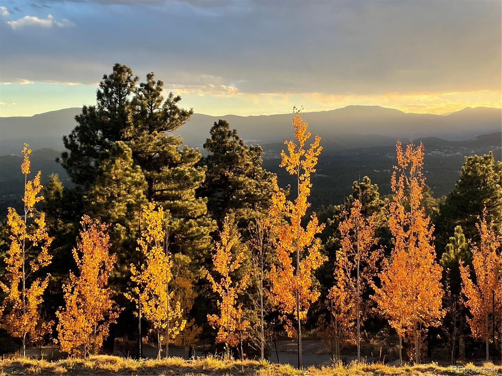 MLS Image #39 for 26116  chief hosa road,golden, Colorado