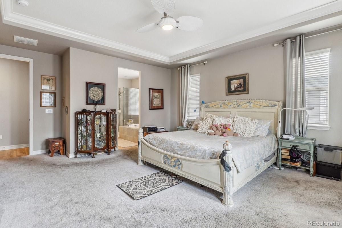MLS Image #13 for 18036 e 99th avenue,commerce city, Colorado