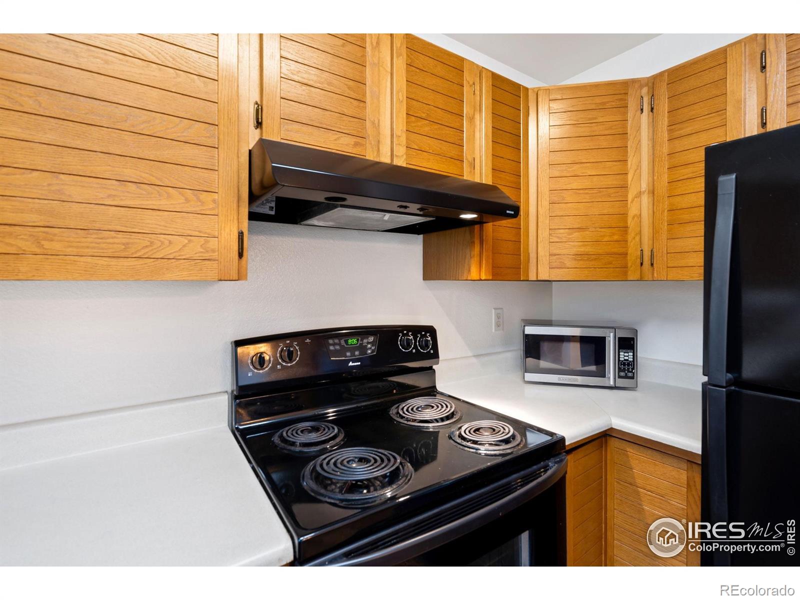 MLS Image #10 for 3500  carlton avenue,fort collins, Colorado
