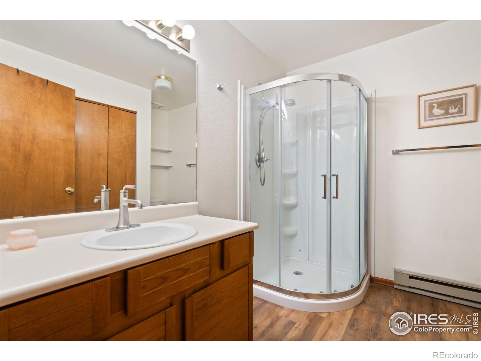 MLS Image #17 for 3500  carlton avenue,fort collins, Colorado