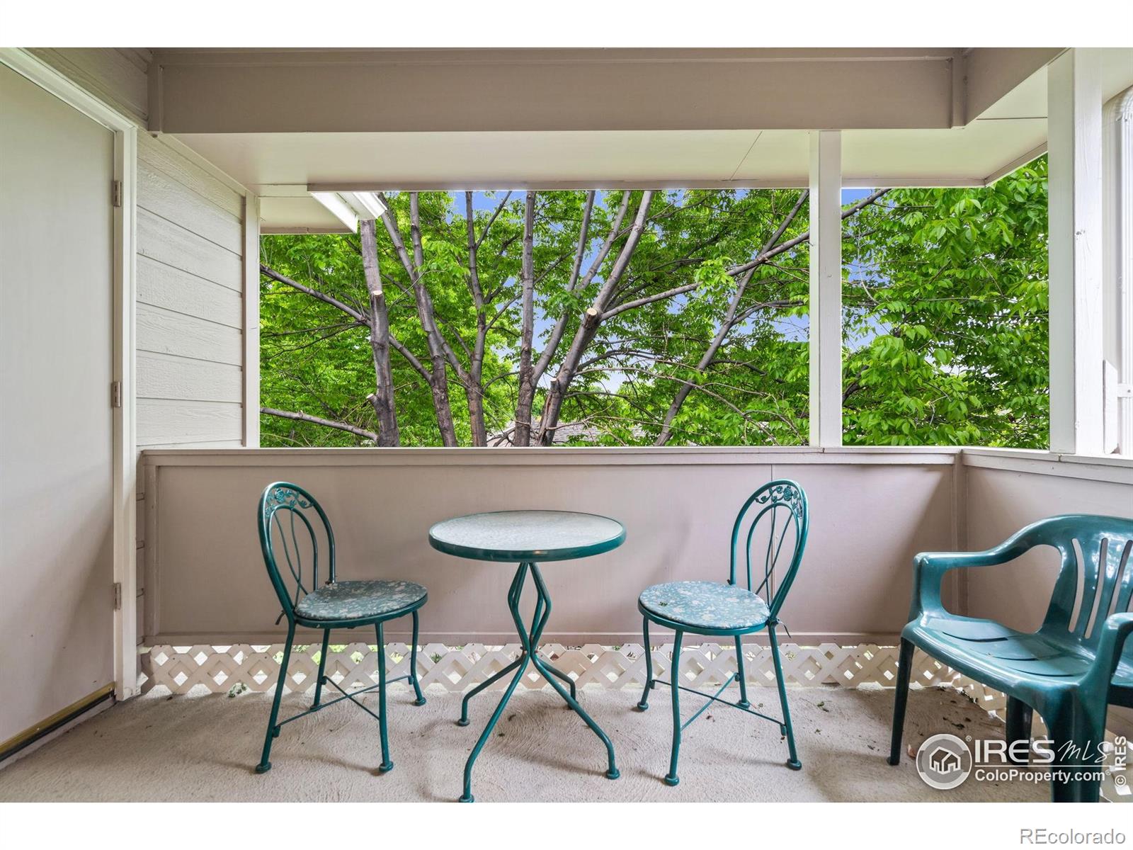 MLS Image #19 for 3500  carlton avenue,fort collins, Colorado