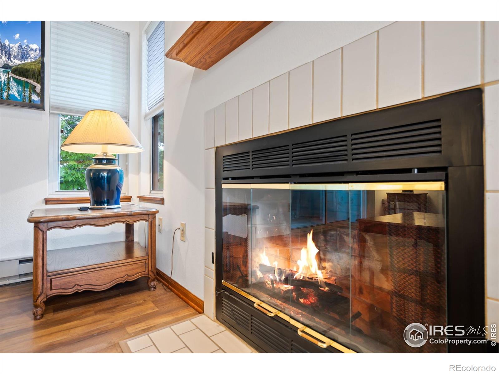MLS Image #6 for 3500  carlton avenue,fort collins, Colorado