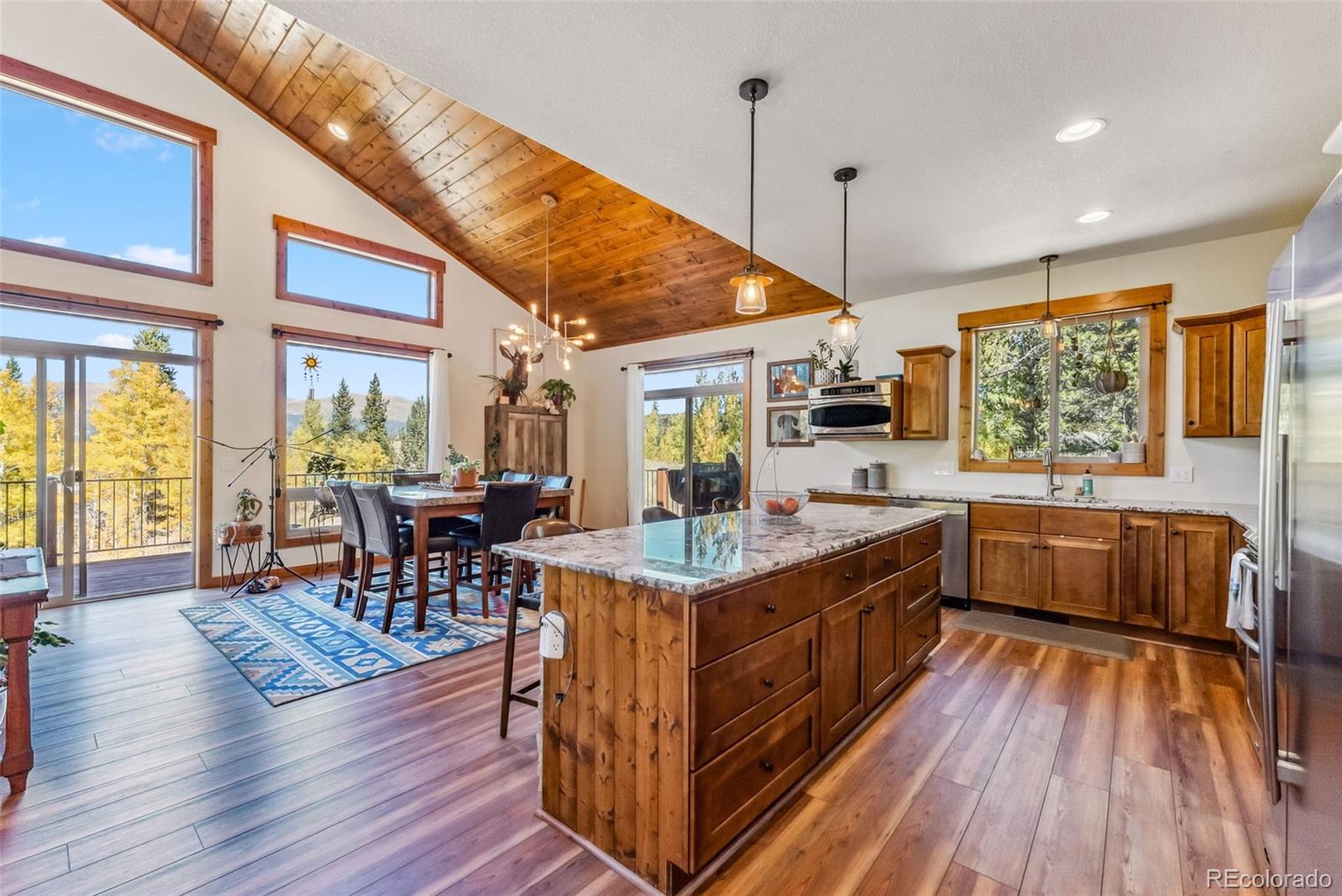 MLS Image #10 for 1954  platte drive,fairplay, Colorado