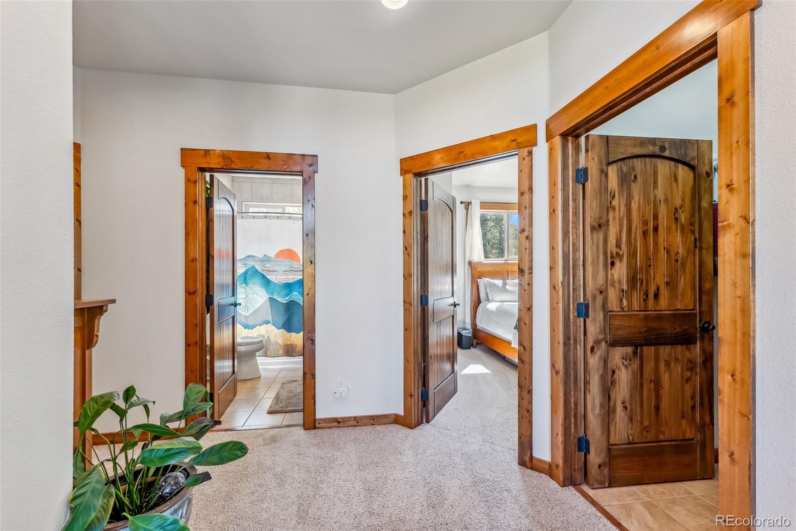 MLS Image #12 for 1954  platte drive,fairplay, Colorado