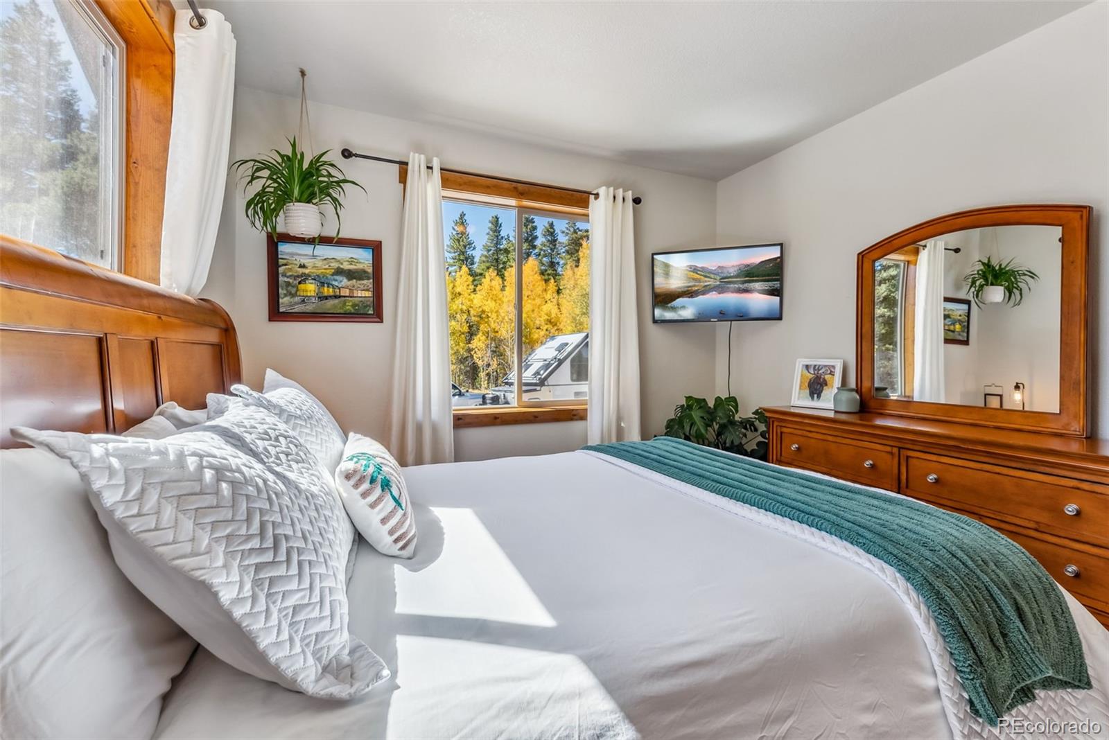 MLS Image #13 for 1954  platte drive,fairplay, Colorado
