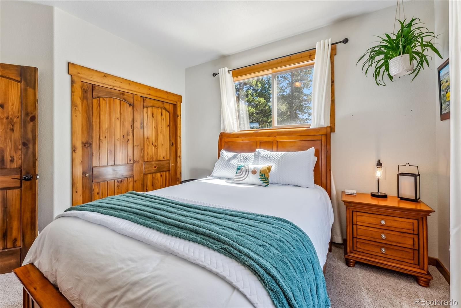 MLS Image #14 for 1954  platte drive,fairplay, Colorado