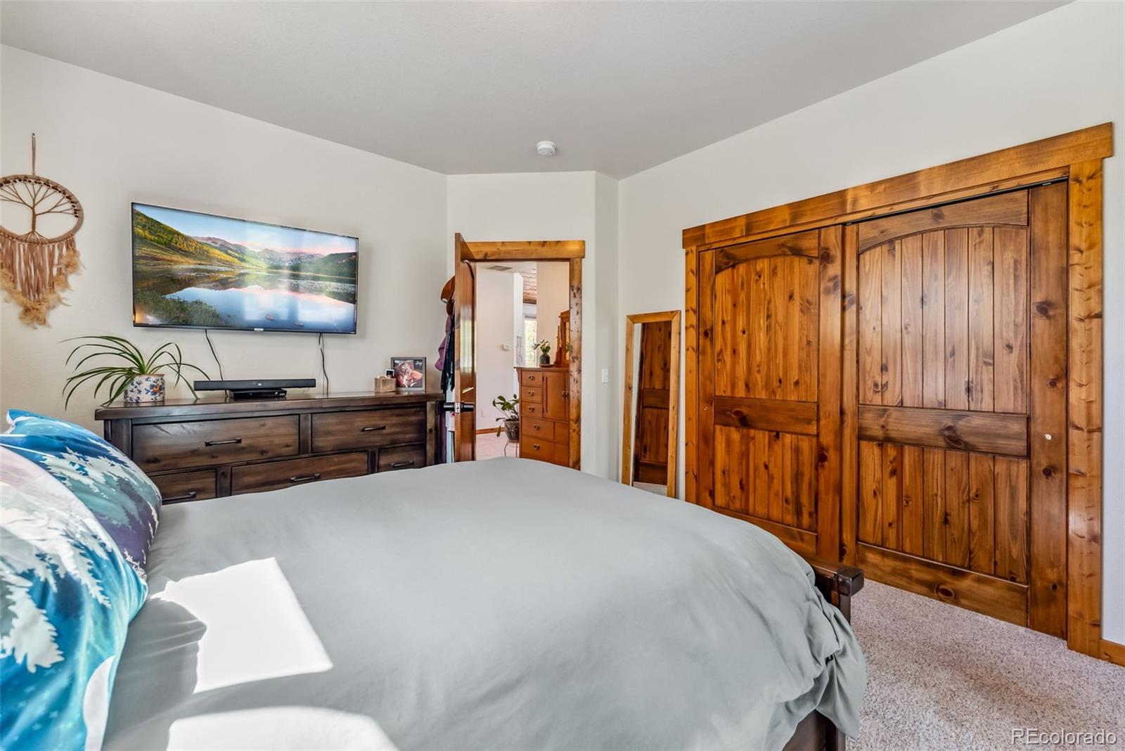 MLS Image #18 for 1954  platte drive,fairplay, Colorado
