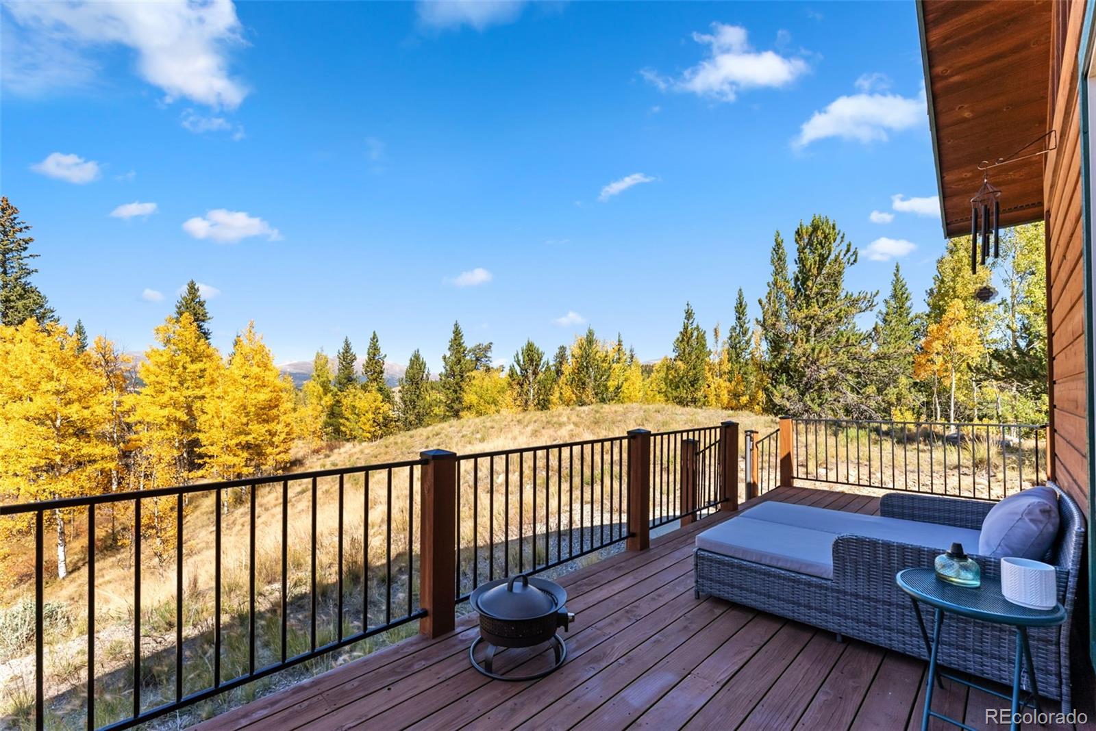 MLS Image #21 for 1954  platte drive,fairplay, Colorado